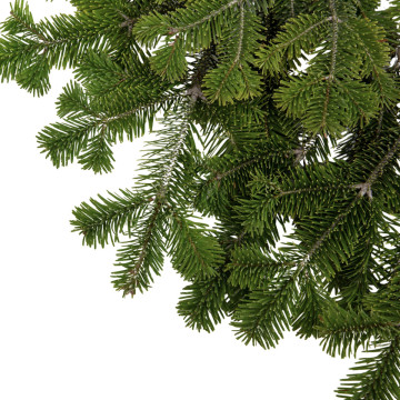 Jedľové čečina vetvičky 5 kg