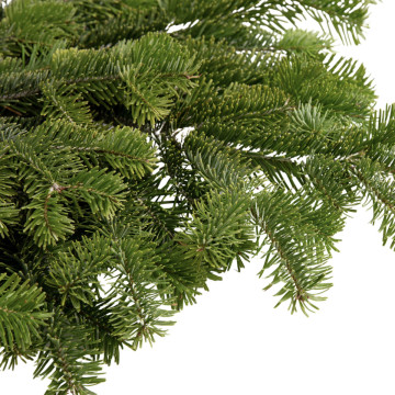 Jedľové čečina vetvičky 3 ks