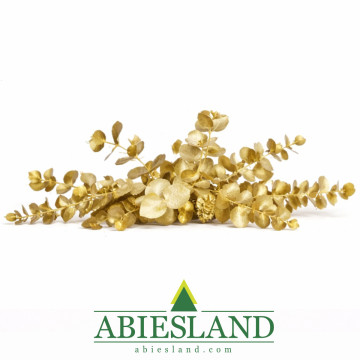 Eukalyptus cinerea gold rezaný zväzok (zlatý 200g)