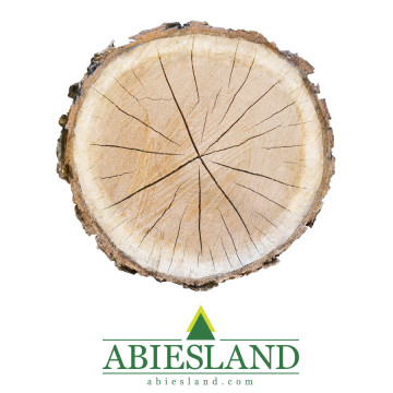 Drevený kruh/prírodná podložka na aranžovanie (dub)