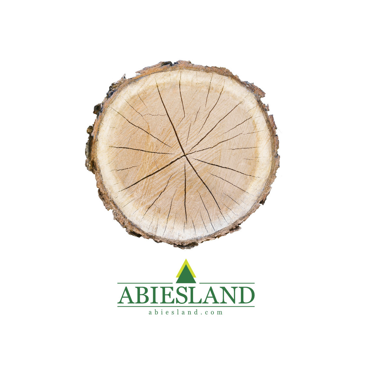 Drevený kruh/prírodná podložka na aranžovanie (dub)