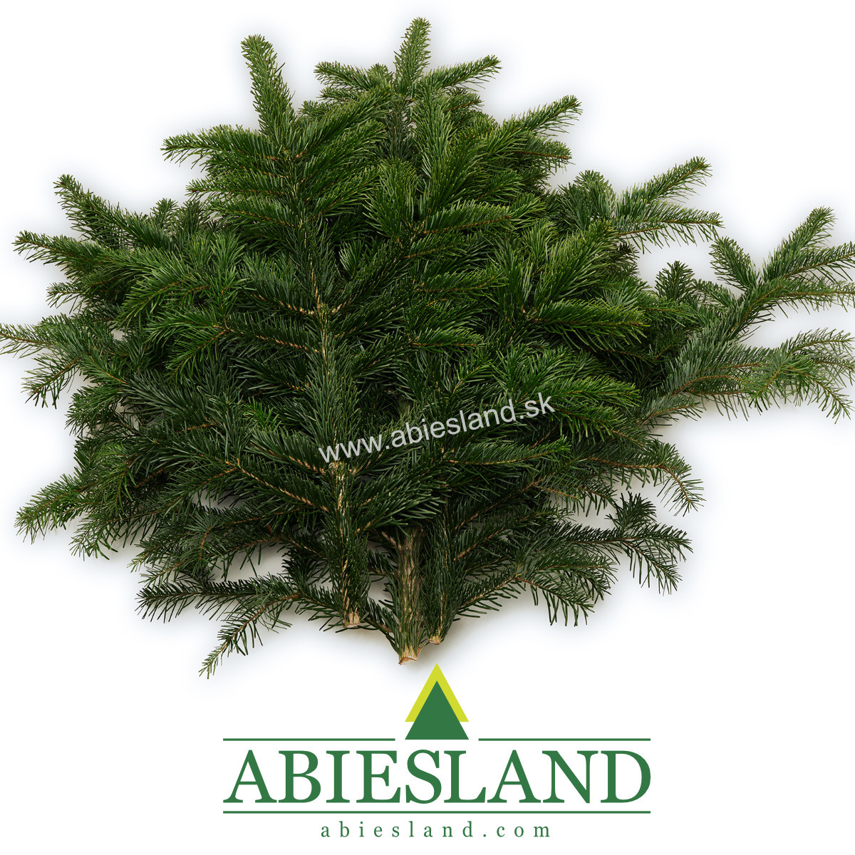 Jedľové čečina vetvičky 3 ks