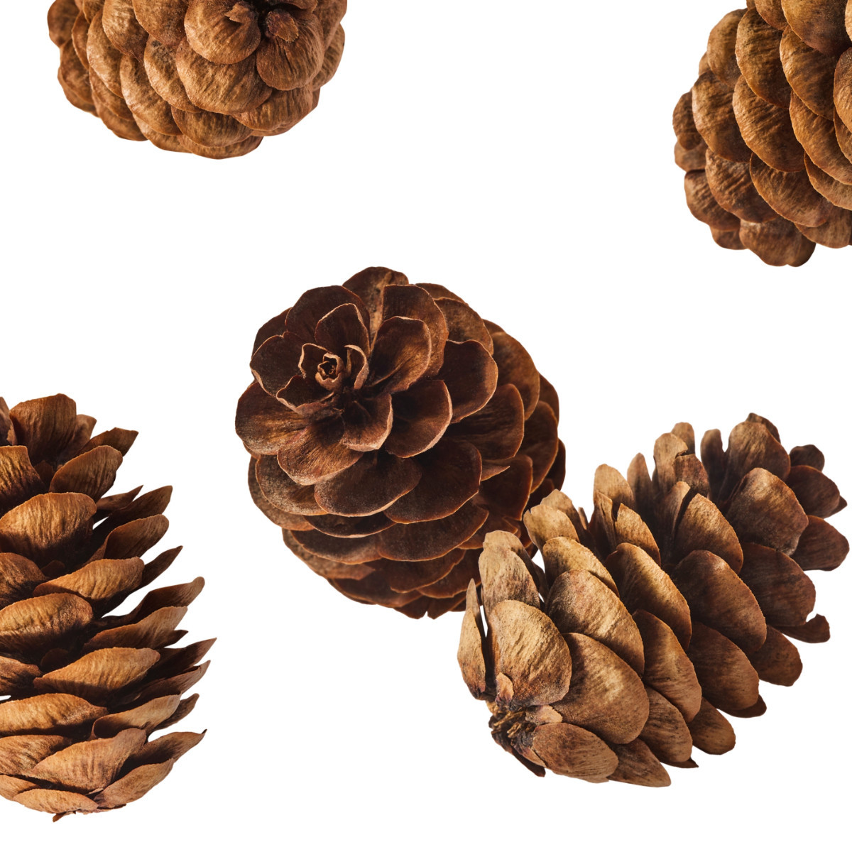 Vianočný mix na zdobenie (pomaranč, škorica, badian, šišky)