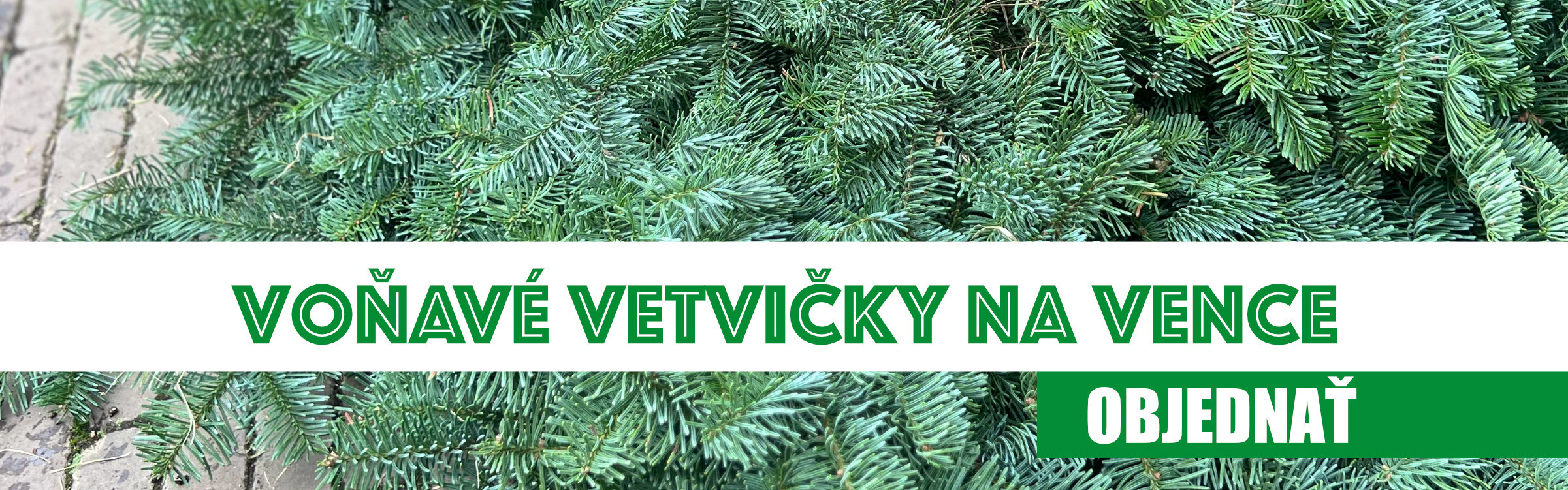 Žive vianočné stromčeky